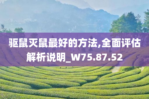 驱鼠灭鼠最好的方法,全面评估解析说明_W75.87.52