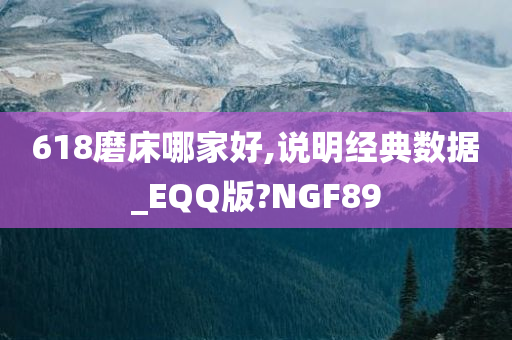 618磨床哪家好,说明经典数据_EQQ版?NGF89