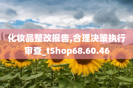 化妆品整改报告,合理决策执行审查_tShop68.60.46