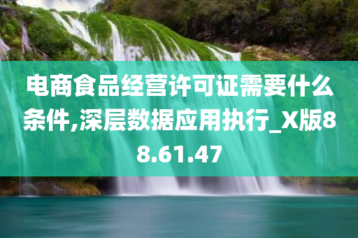 电商食品经营许可证需要什么条件,深层数据应用执行_X版88.61.47