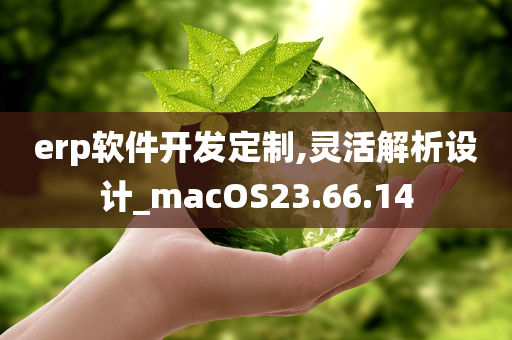 erp软件开发定制,灵活解析设计_macOS23.66.14