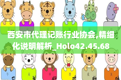 西安市代理记账行业协会,精细化说明解析_Holo42.45.68