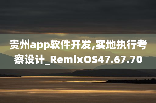 贵州app软件开发,实地执行考察设计_RemixOS47.67.70