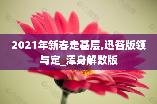 2021年新春走基层,迅答版领与定_浑身解数版