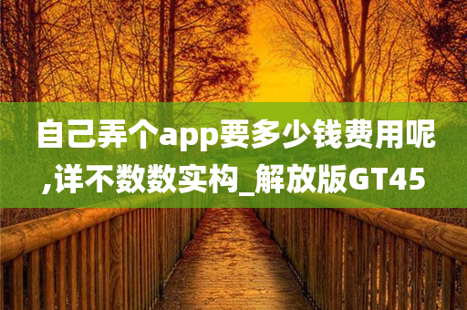 自己弄个app要多少钱费用呢,详不数数实构_解放版GT45