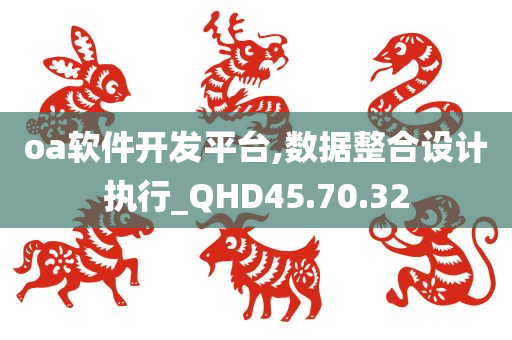 oa软件开发平台,数据整合设计执行_QHD45.70.32