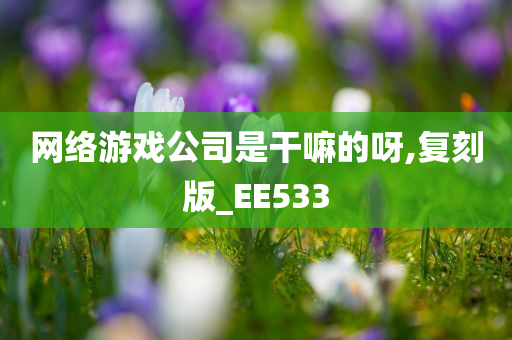 网络游戏公司是干嘛的呀,复刻版_EE533