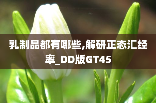 乳制品都有哪些,解研正态汇经率_DD版GT45