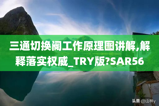 三通切换阀工作原理图讲解,解释落实权威_TRY版?SAR56