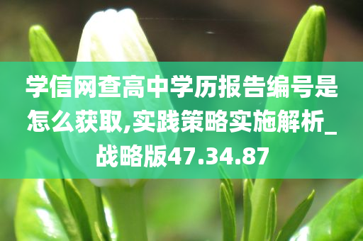 学信网查高中学历报告编号是怎么获取,实践策略实施解析_战略版47.34.87