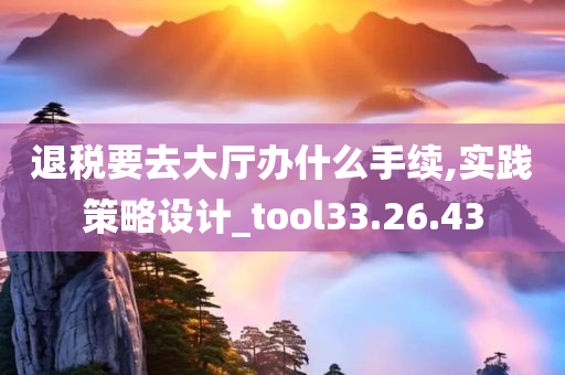 退税要去大厅办什么手续,实践策略设计_tool33.26.43