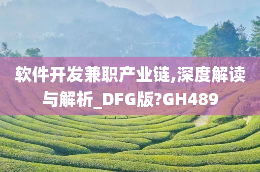 软件开发兼职产业链,深度解读与解析_DFG版?GH489