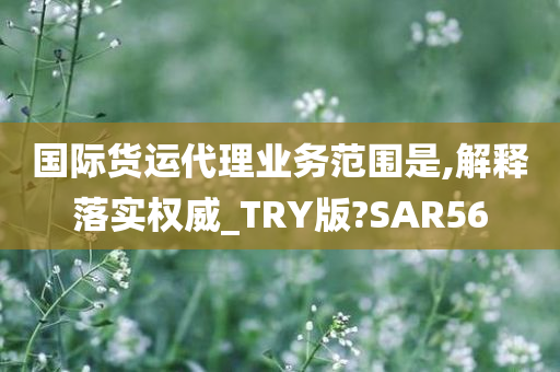 国际货运代理业务范围是,解释落实权威_TRY版?SAR56