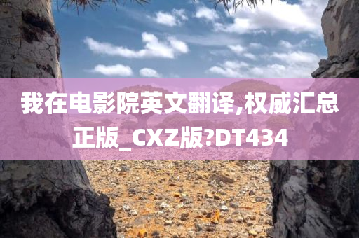 我在电影院英文翻译,权威汇总正版_CXZ版?DT434