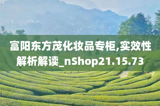 富阳东方茂化妆品专柜,实效性解析解读_nShop21.15.73