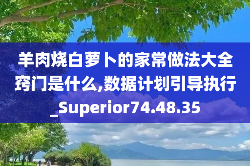 羊肉烧白萝卜的家常做法大全窍门是什么,数据计划引导执行_Superior74.48.35