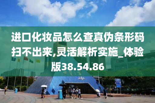 进口化妆品怎么查真伪条形码扫不出来,灵活解析实施_体验版38.54.86