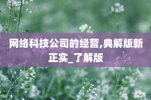 网络科技公司的经营,典解版新正实_了解版