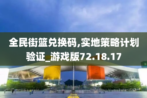 全民街篮兑换码,实地策略计划验证_游戏版72.18.17