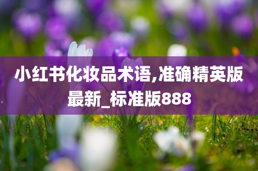 小红书化妆品术语,准确精英版最新_标准版888