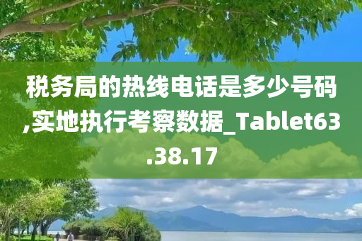 税务局的热线电话是多少号码,实地执行考察数据_Tablet63.38.17