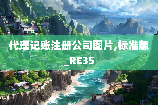 代理记账注册公司图片,标准版_RE35