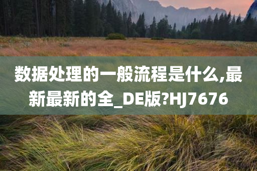 数据处理的一般流程是什么,最新最新的全_DE版?HJ7676