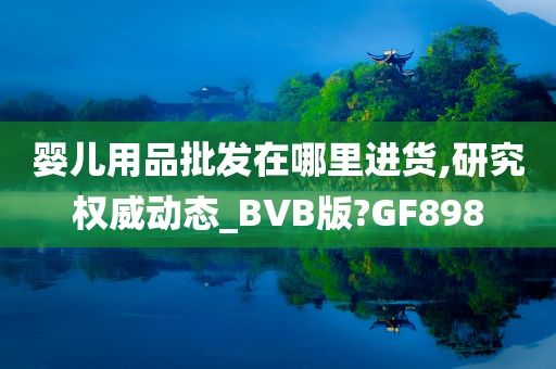 婴儿用品批发在哪里进货,研究权威动态_BVB版?GF898