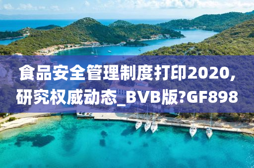 食品安全管理制度打印2020,研究权威动态_BVB版?GF898