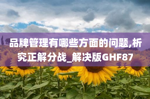 品牌管理有哪些方面的问题,析究正解分战_解决版GHF87