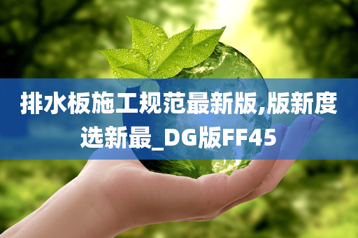 DG版FF45