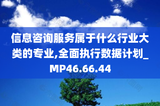 信息咨询服务属于什么行业大类的专业,全面执行数据计划_MP46.66.44