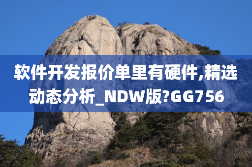 软件开发报价单里有硬件,精选动态分析_NDW版?GG756