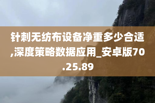 针刺无纺布设备净重多少合适,深度策略数据应用_安卓版70.25.89