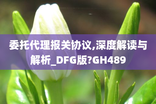 委托代理报关协议,深度解读与解析_DFG版?GH489