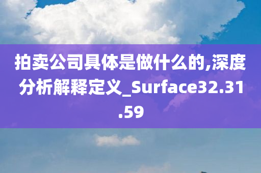 拍卖公司具体是做什么的,深度分析解释定义_Surface32.31.59