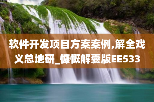 软件开发项目方案案例,解全戏义总地研_慷慨解囊版EE533