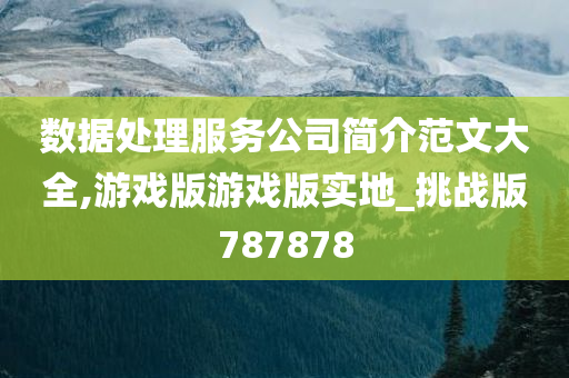 数据处理服务公司简介范文大全,游戏版游戏版实地_挑战版787878