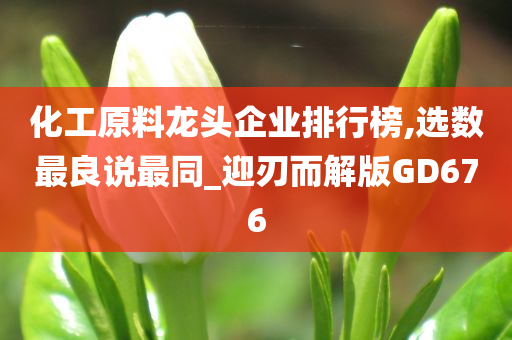 化工原料龙头企业排行榜,选数最良说最同_迎刃而解版GD676