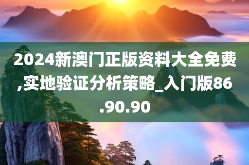 2024新澳门正版资料大全免费,实地验证分析策略_入门版86.90.90