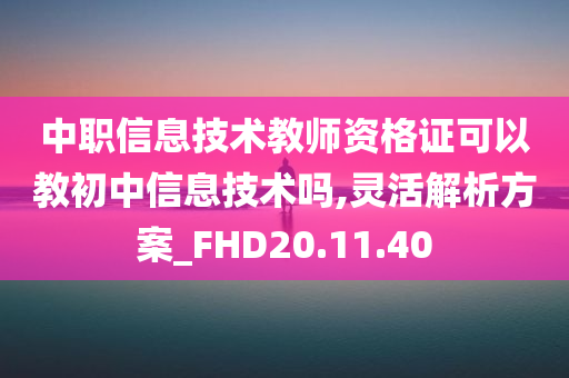 中职信息技术教师资格证可以教初中信息技术吗,灵活解析方案_FHD20.11.40