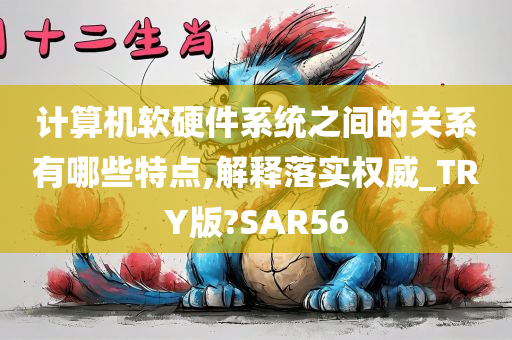 计算机软硬件系统之间的关系有哪些特点,解释落实权威_TRY版?SAR56