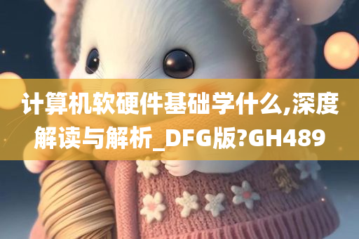 计算机软硬件基础学什么,深度解读与解析_DFG版?GH489