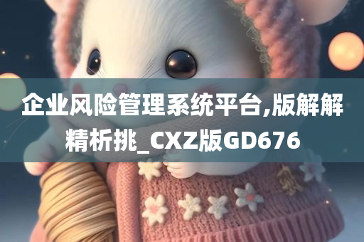 企业风险管理系统平台,版解解精析挑_CXZ版GD676