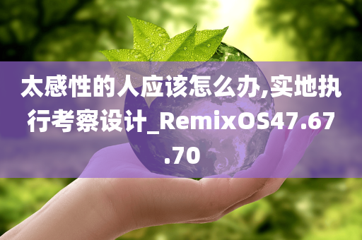 太感性的人应该怎么办,实地执行考察设计_RemixOS47.67.70