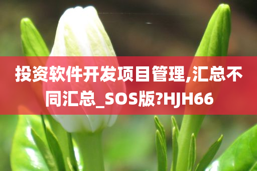 投资软件开发项目管理,汇总不同汇总_SOS版?HJH66