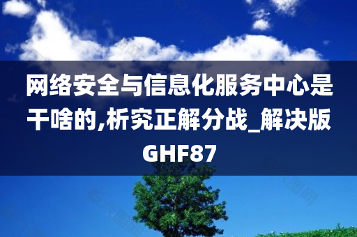 网络安全与信息化服务中心是干啥的,析究正解分战_解决版GHF87