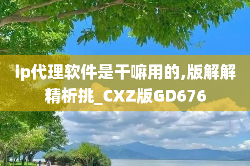 ip代理软件是干嘛用的,版解解精析挑_CXZ版GD676