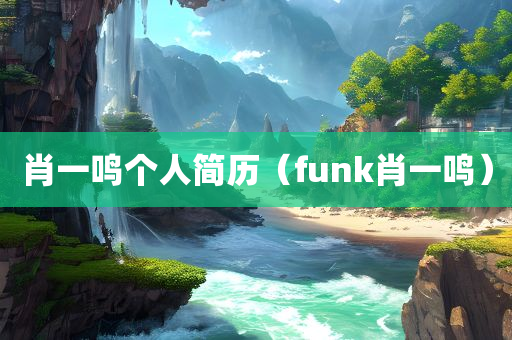 肖一鸣个人简历（funk肖一鸣）