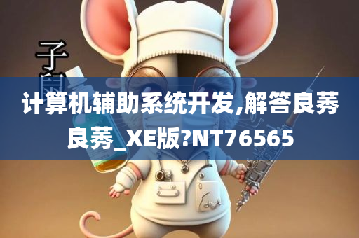 计算机辅助系统开发,解答良莠良莠_XE版?NT76565